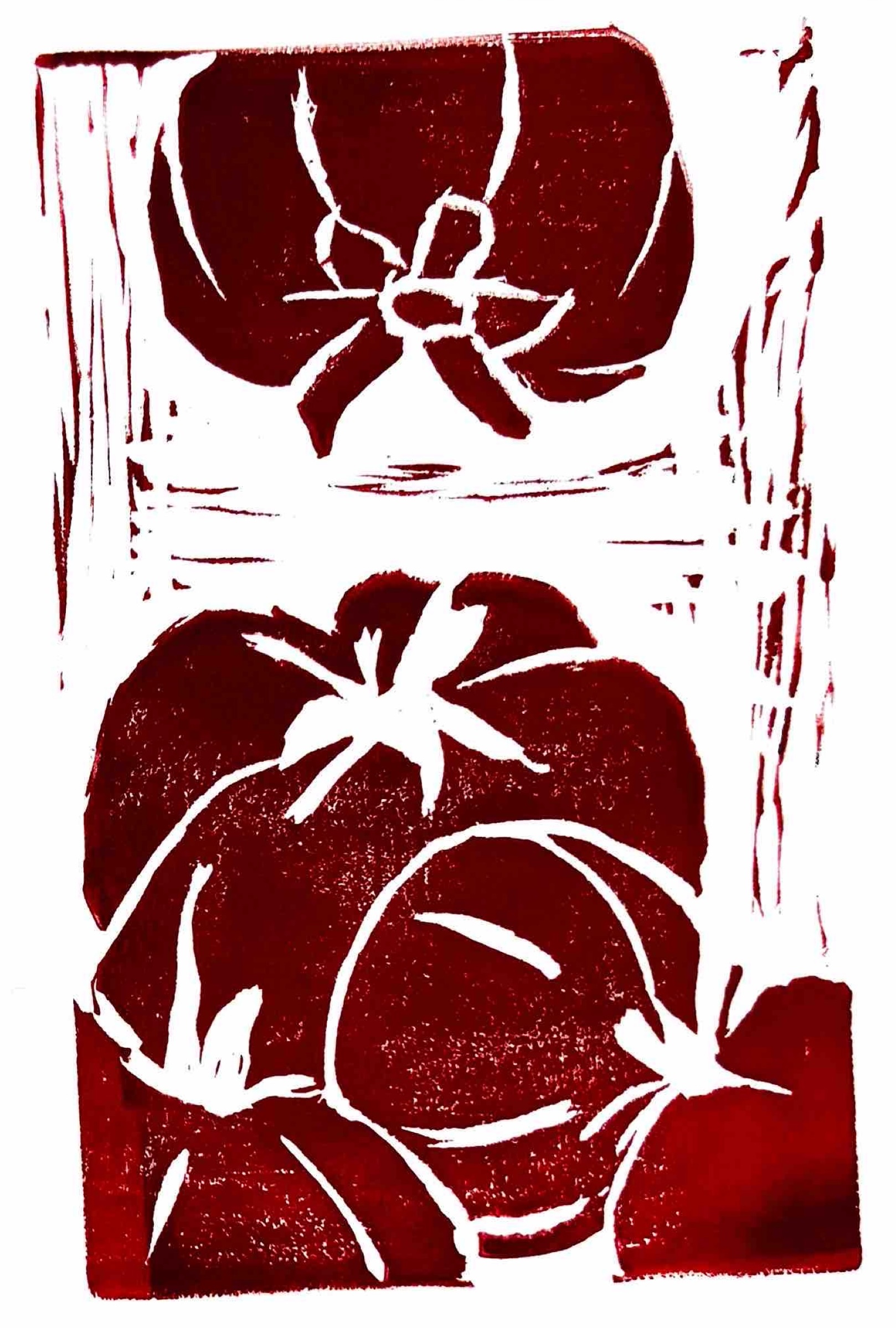 tomato1